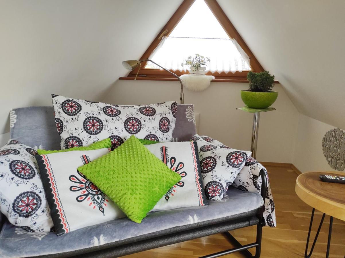 Loft Folk Apartament Закопане Екстериор снимка