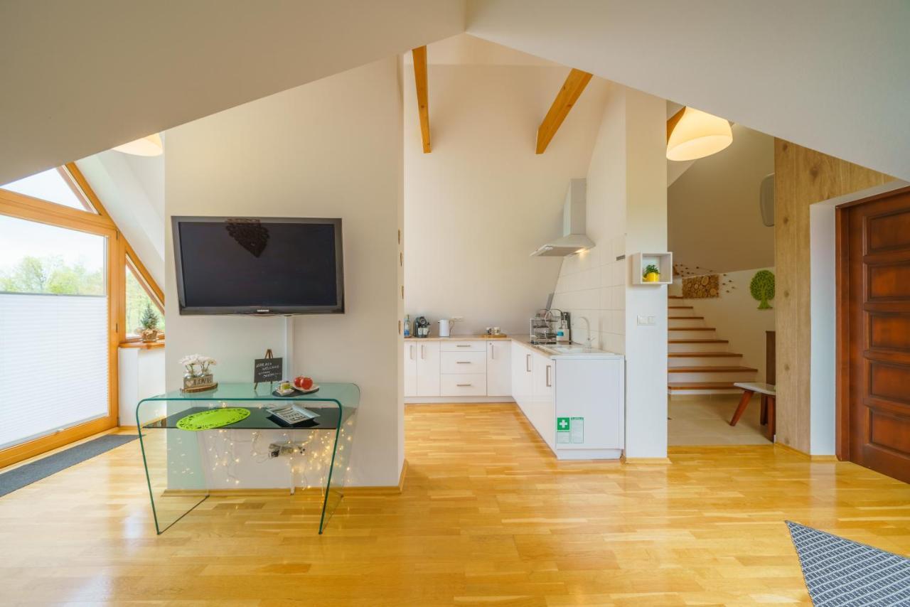 Loft Folk Apartament Закопане Екстериор снимка