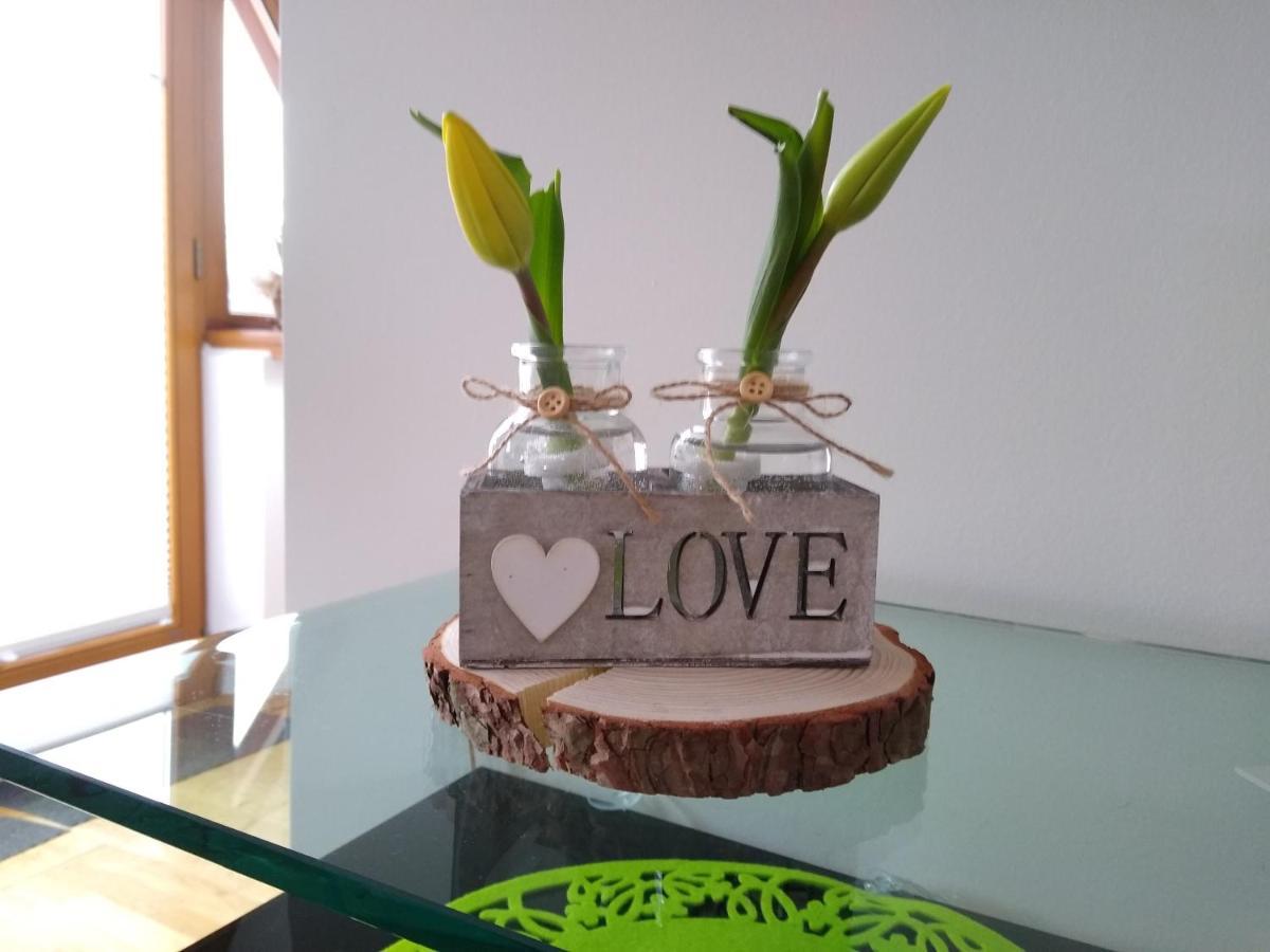 Loft Folk Apartament Закопане Екстериор снимка